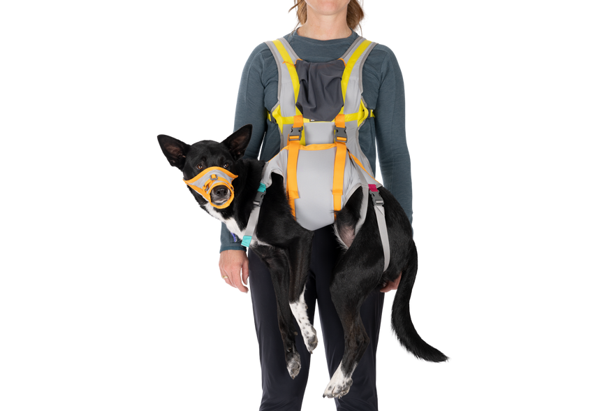 6 Highly-Rated Pet Carriers For Small Dogs From  - BARK Post
