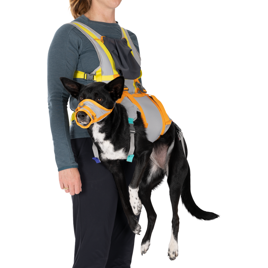BackTrak™ Dog Sling Carrier Evacuation Kit | Ruffwear