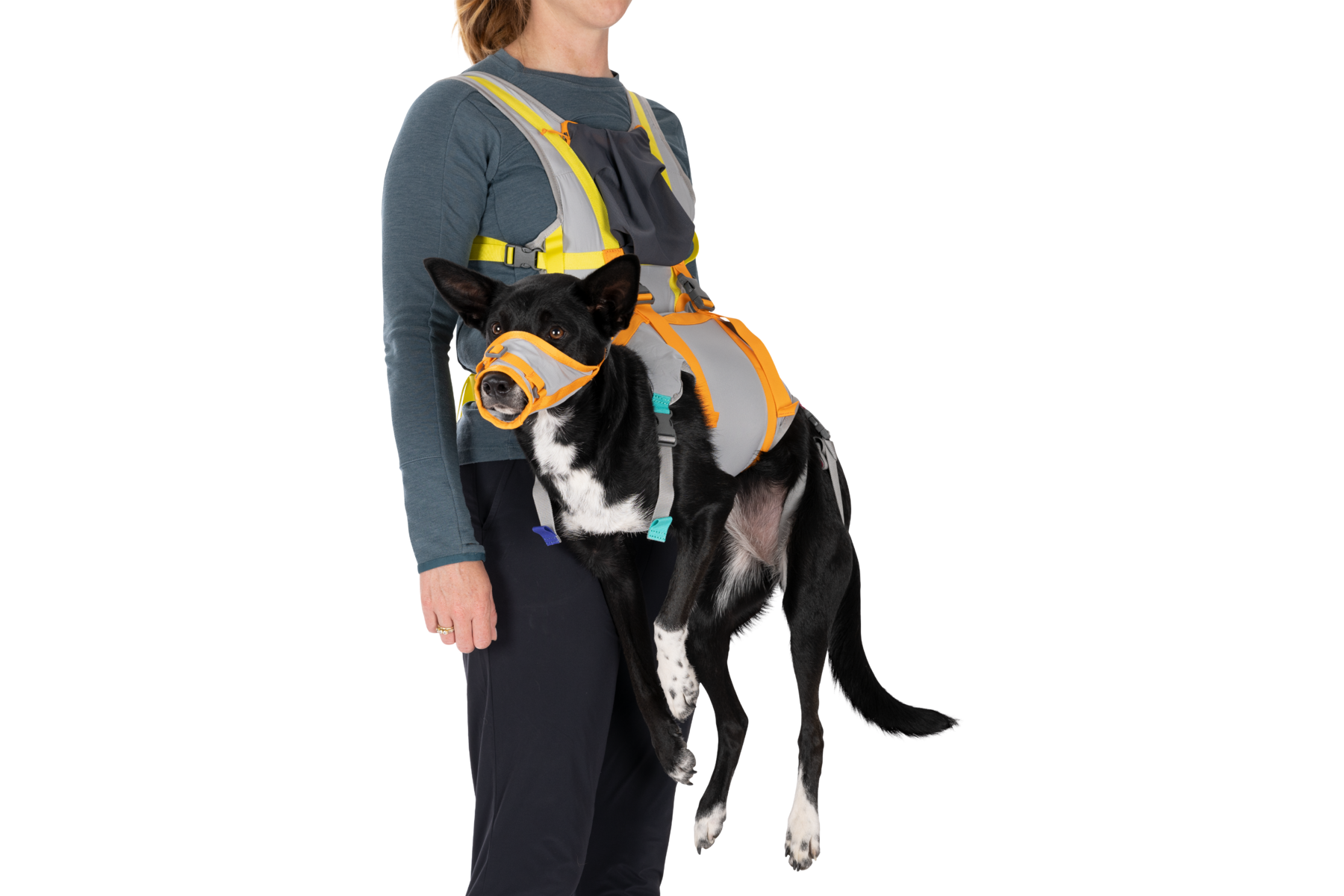 Emergency dog carrying 2024 harness