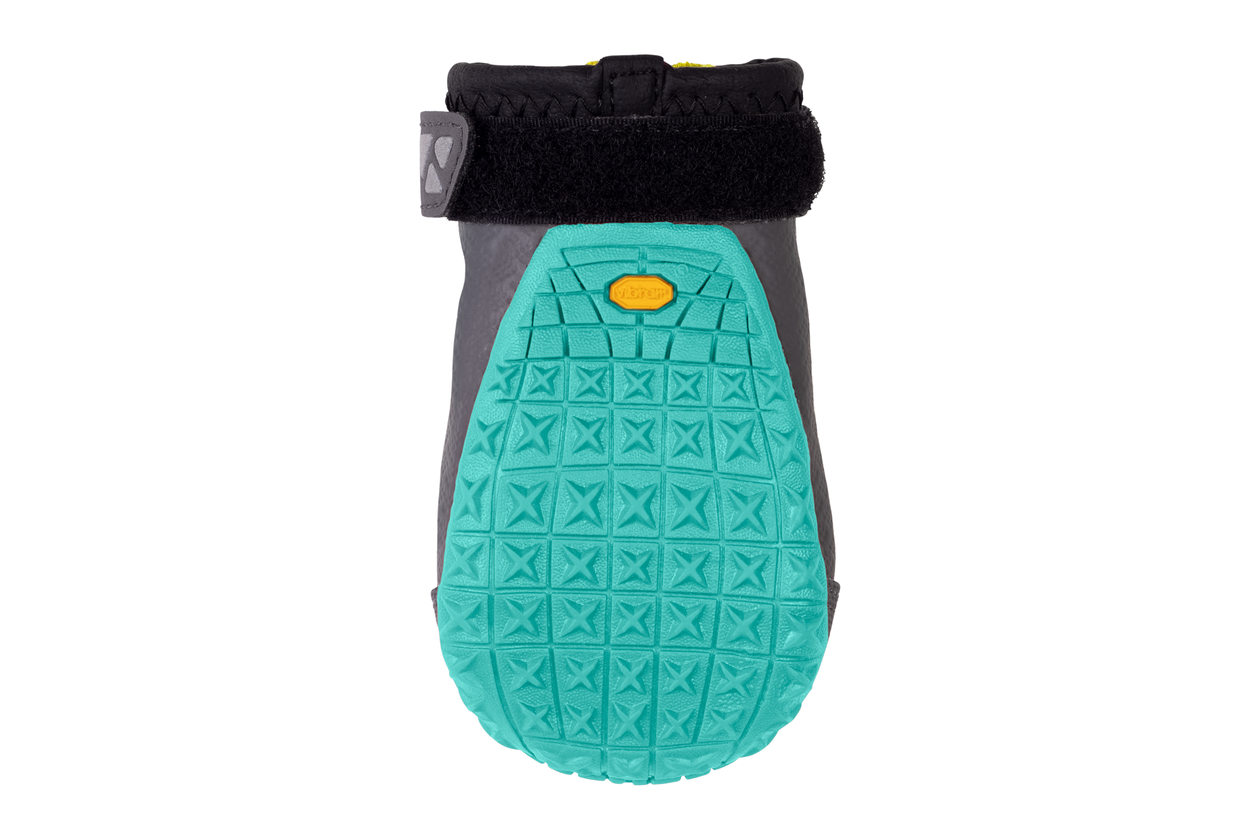 Dog boots near hot sale me